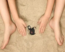  Fishers Locksmith Store Fishers, IN 317-810-0221